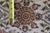 Tan Vintage Wool Geometric Floral Palmette Medallion Area Rug Runner 2.5' X 8' For Sale - Image 8 of 12