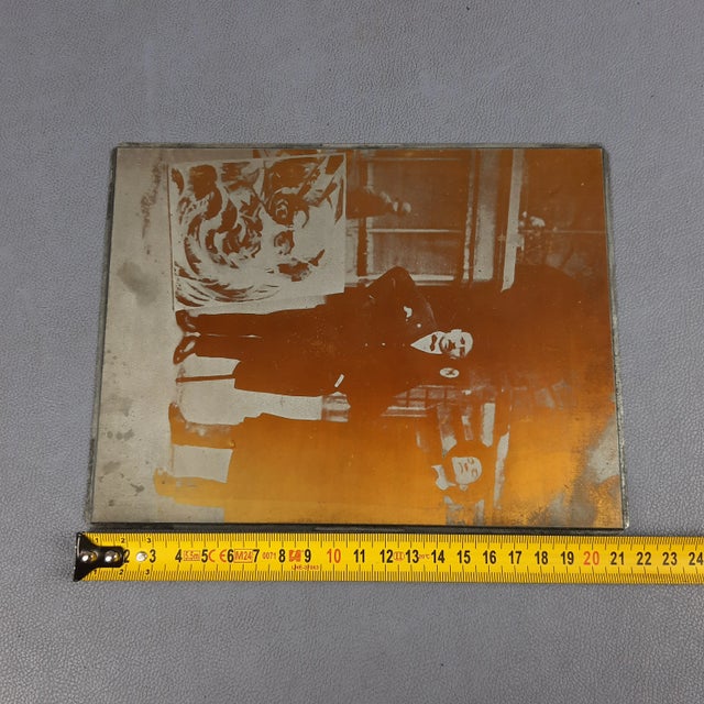 Filippo Marinetti, Portrait of Rougena Zatkova, 1960s, Cliché Silkscreened Metal Plate For Sale - Image 10 of 11