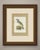 Harpy eagle print after Descourtilz from the 1944 Ornitologia Brasileira: Estampa 2, a colour offset print of Brazilian...
