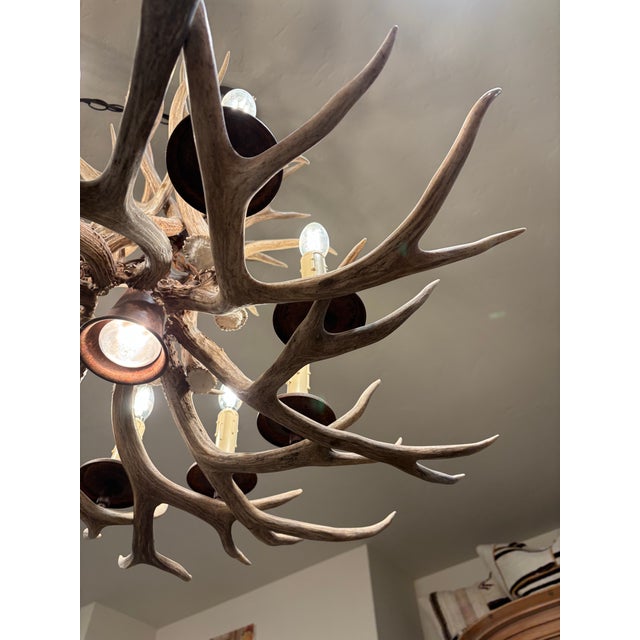 Vintage Antler Chandelier For Sale - Image 6 of 9