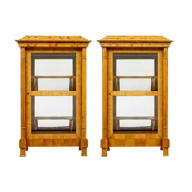 Antique Biedermeier Glazed Elm Display Cabinets, 1840, Set of 2 For Sale - Image 11 of 11