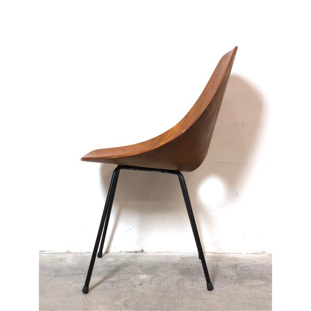 Curved Plywood Chairs by Vittorio Nobili, Italy, 1950s, Set of 2 For Sale - Image 15 of 18