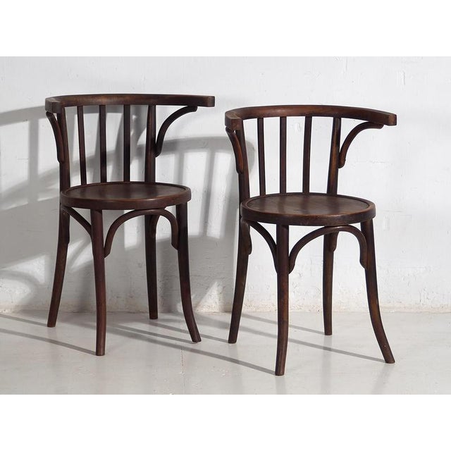 Chairs with Armrests from Thonet, 1920s, Set of 4 For Sale - Image 4 of 18