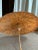Antique Japanese Antique Painted Paper Parasol For Sale - Image 11 of 13