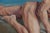 Blake of Night by John Tarantola | Oil on panel of a nude male figure with a halo For Sale - Image 4 of 4