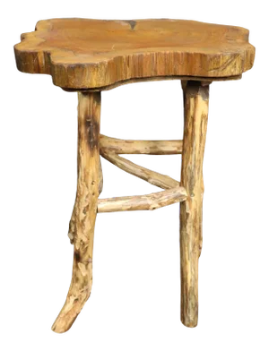 Modern Design Live Edge and Branch Side Table