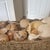 2010s Noah’s Ark Coastal Centerpiece: Woven Boat Basket Overfilled With Sea Shells For Sale - Image 5 of 11