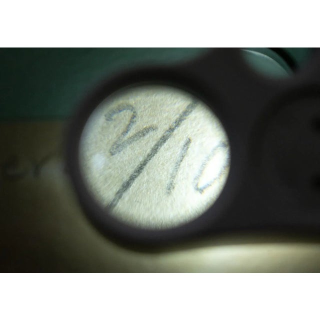 Milton Glaser – Signed, Dated & Numbered 2/100 Original 1976 Serigraph Print "Bathers at the Brera" For Sale - Image 9 of 12