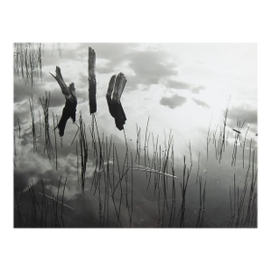Late 20th Century Photograph Reeds Water Clouds Reflection
