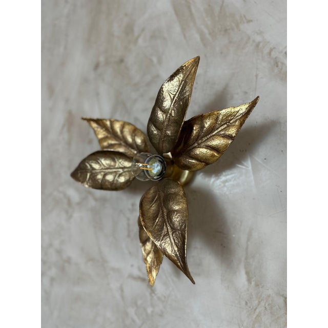 Willy Daro Wall Lights attributed to Willy Daro, 1970s, Set of 2 For Sale - Image 4 of 14