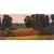 Sheryl Knight Sonoma Sunrise oil painting. This Sheryl Knight painting comes framed as shown. Dimensions 12"H X 24"W...