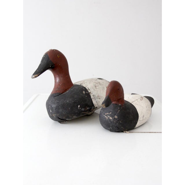 Pair of Vintage Wooden Canvasback Duck Decoys For Sale - Image 13 of 15