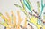 2026, Naturalistic Seascape, Coral Forest Ii, Illustration Style Diptych, Gouache Crayon on Paper by Romina Milano For Sale - Image 10 of 10