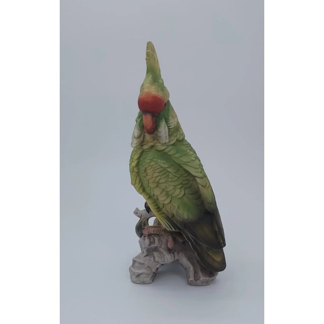 Add some personality to your space with this whimsical cockatoo by Andrea! Color and detail on this piece is absolutely...