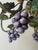 Italian Hand-Painted Fruit and Vine Chandelier with Pomegranates, 1970s For Sale - Image 10 of 16