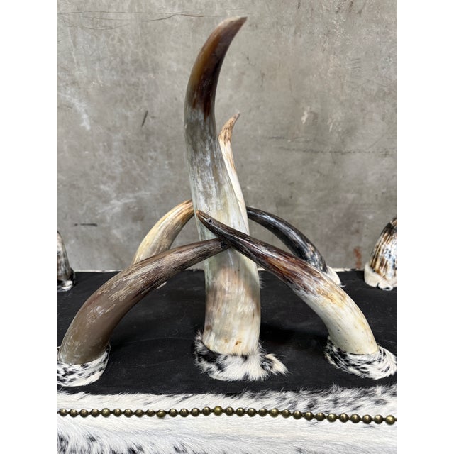 Brown 1970s Steer Horn Bench Cowhide Seat Nailhead Western Ranch Longhorn Speckled 48in For Sale - Image 8 of 12