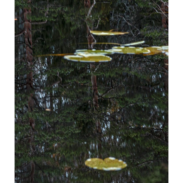 Photography "Deep_Mirroring_Forest_011" Diptych, Limited Edition Fine Art Photograph by Bernhard Lang, Set of 2 For Sale - Image 7 of 13
