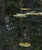 Photography "Deep_Mirroring_Forest_011" Diptych, Limited Edition Fine Art Photograph by Bernhard Lang, Set of 2 For Sale - Image 7 of 13