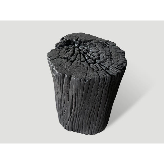 Contemporary Andrianna Shamaris Iron Wood Charred Side Table or Stool For Sale - Image 3 of 5