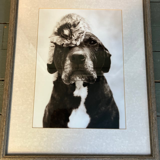 Original approx 9 x 13 photograph on paper unsigned Overall size with original mat & frame is 15 x 19