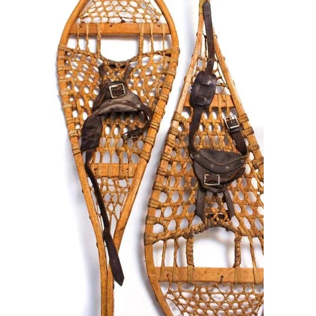Snow Shoe Set J 42.5 X 14 X 2 For Sale - Image 10 of 10