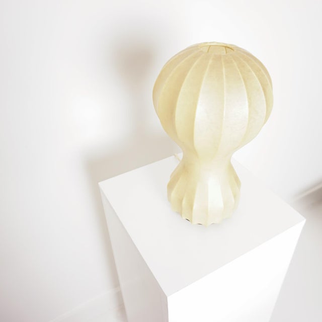 Beige Gatto Table Lamp by Achille & Pier Giacomo Castiglioni for Flos, 1960s For Sale - Image 8 of 9