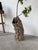 Wood Vintage Cork Bark Vase, 1970s For Sale - Image 7 of 18