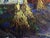 Oil Painting Landscape Lonely Oksana Ivanyuk For Sale - Image 9 of 13