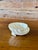 Ceramic Vintage Irish Belleek Porcelain Shell Bowl on Conch Feet For Sale - Image 7 of 12