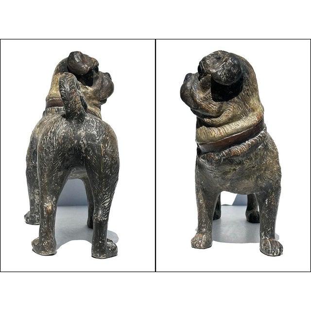 Austrian Standing Pug Dog Composition Lifesize Sculpture For Sale - Image 4 of 7