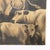 Realism Large Antique Oil on Canvas Western Themed Painting of Steers C1900 For Sale - Image 3 of 6