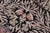 1990s Boho Chic Botanical 1990's Pak-Persian Black/Grey Wool Round Rug- 6'0'' X 6'1'' For Sale - Image 5 of 9