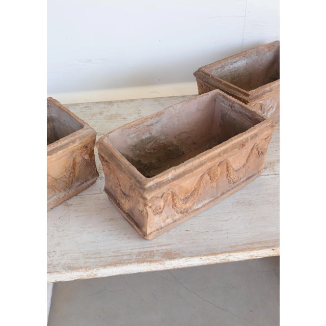 Set of Six 19th Century French Terracotta Planters For Sale - Image 4 of 14