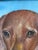 Chestnut Vintage Original Dog Portrait Oil Painting, Signed Animal Art For Sale - Image 8 of 18