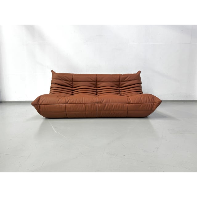 French Togo Sofa in Thick Cognac Cow Leather by Michel Ducaroy for Ligne Roset For Sale - Image 15 of 15