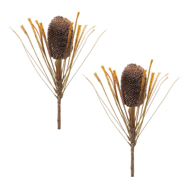 Rustic Fall Banksia Pod Stem (Set of 2) For Sale - Image 3 of 3