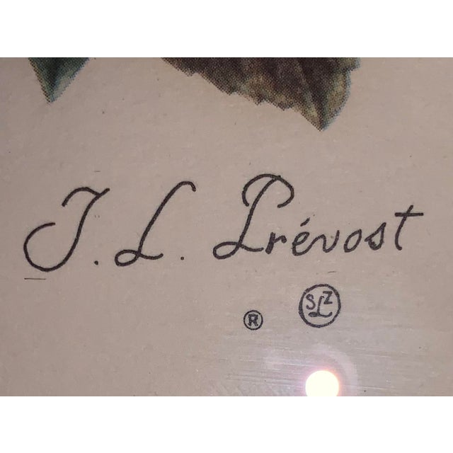 Glass 19th Century Flower Bouquet Watercolor Prints With Original Frame Matting and Glass - a Pair For Sale - Image 7 of 8