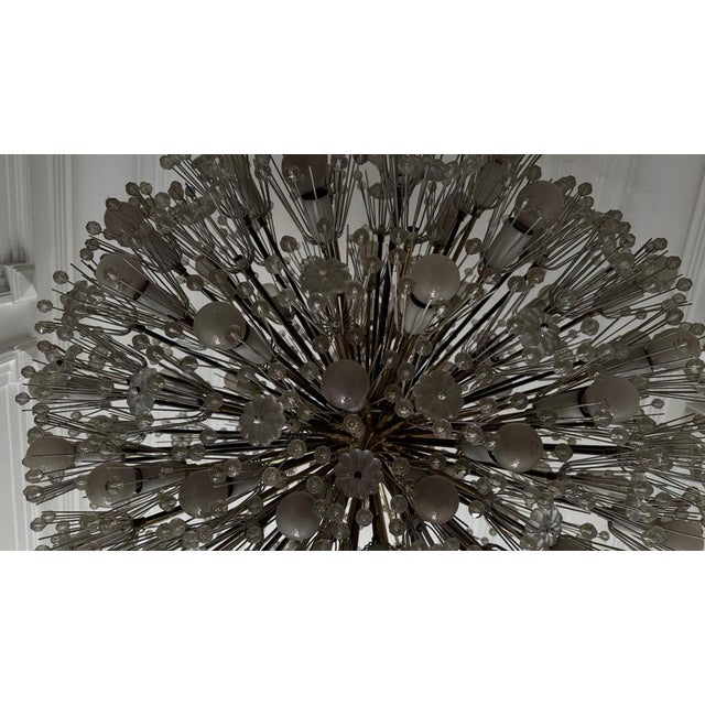Large Oval Glass and Brass Flower Chandelier attributed to Emil Stejnar for Rupert Nikoll, Austria, 1950s For Sale - Image 17 of 18