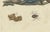 Bertuch, Tarantula, Spiders and Scorpions, 1790, Engraving For Sale - Image 4 of 10