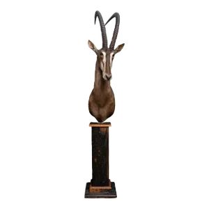 Premier Quality Sable Pedestal Mount