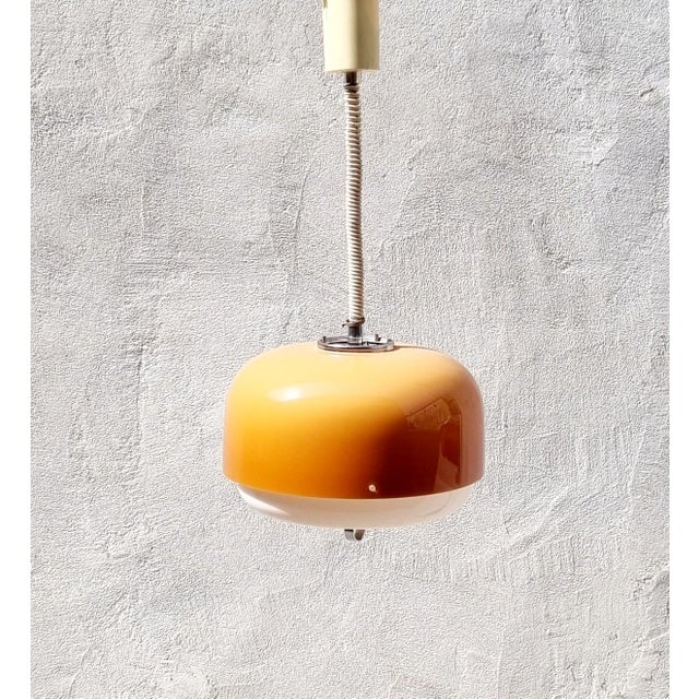 Mid-Century Modern Medusa Lamp by Luigi Massoni for Guzzini, 1970s For Sale - Image 9 of 10