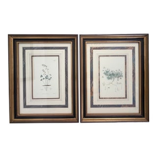 Pair of Antique Botanical Illustrations by J. Curtis and John Moggridge, Ethan Allen For Sale