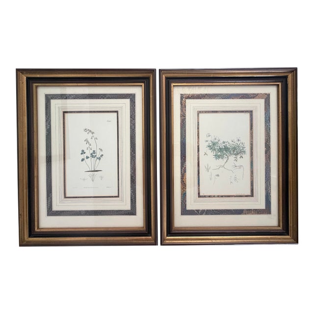 Pair of Antique Botanical Illustrations by J. Curtis and John Moggridge, Ethan Allen For Sale