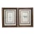 Pair of Antique Botanical Illustrations by J. Curtis and John Moggridge, Ethan Allen For Sale