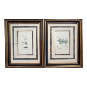 Pair of Antique Botanical Illustrations by J. Curtis and John Moggridge, Ethan Allen