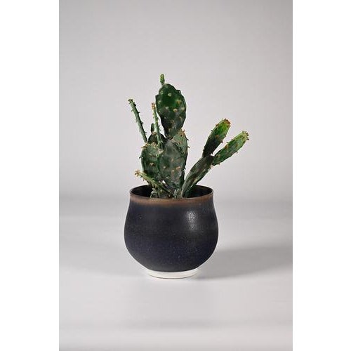 Hein Severijns ceramic pot from 1980. Severijns was born 1936 in Maastricht the Netherlands and graduated there from art...