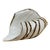 1970’s Murano Style White & Brown Striped Glass Sea Shell For Sale