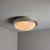 1960s Large 1960s Sergio Mazza Glass and Metal Ceiling or Wall Lamp for Artemide For Sale - Image 5 of 15
