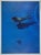 Swimming Pools is a beautiful offset Exhibition poster realized by Franco Fontana in 1984. Exhibition in Gallery of...