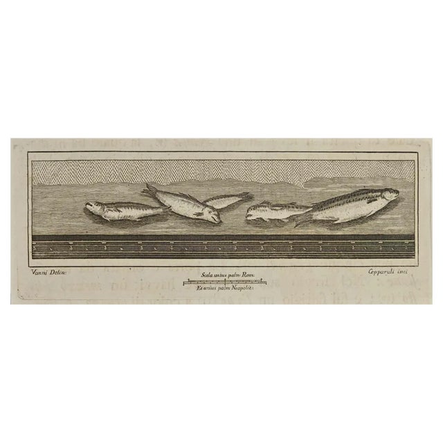 Francesco Cepparoli, Roman Fresco from Antiquities of Herculaneum, 1700s, Etching For Sale